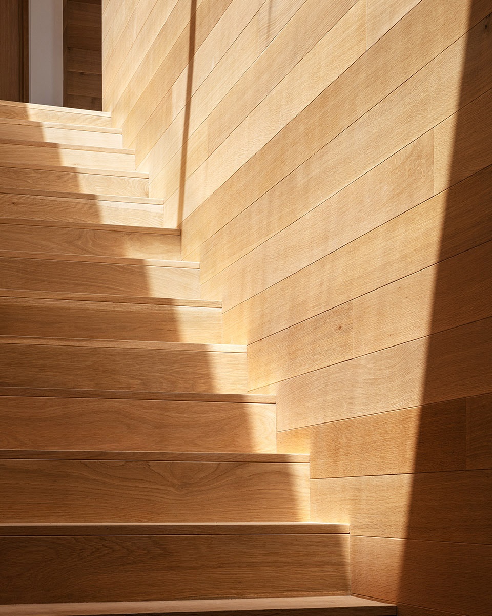 Forest Knoll residence Standard Architecture 1