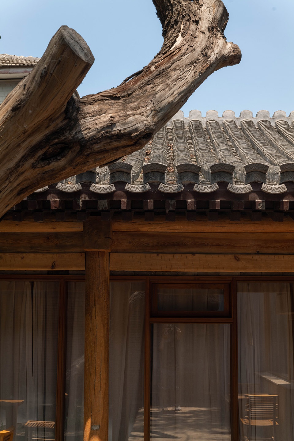 YUANGU YUANGU Design