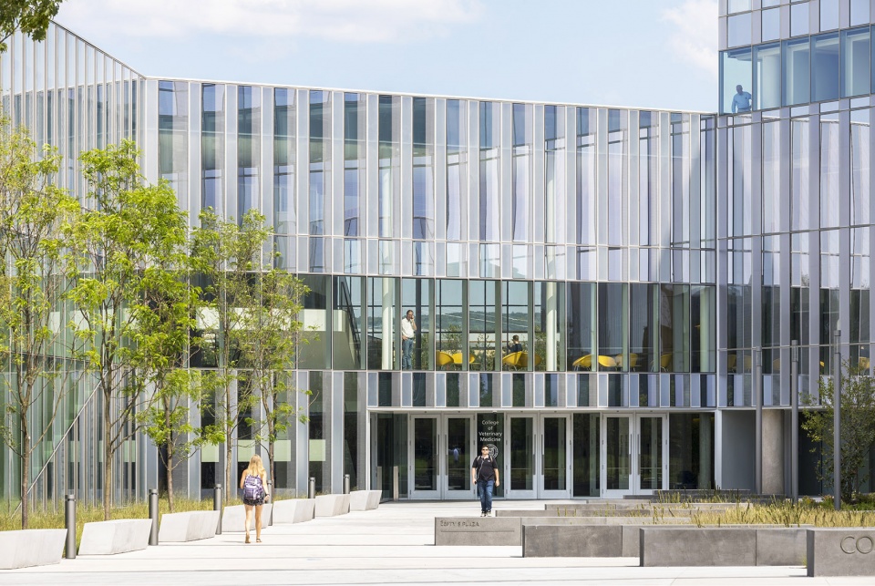 cornell university college of veterinary medicine weiss manfredi