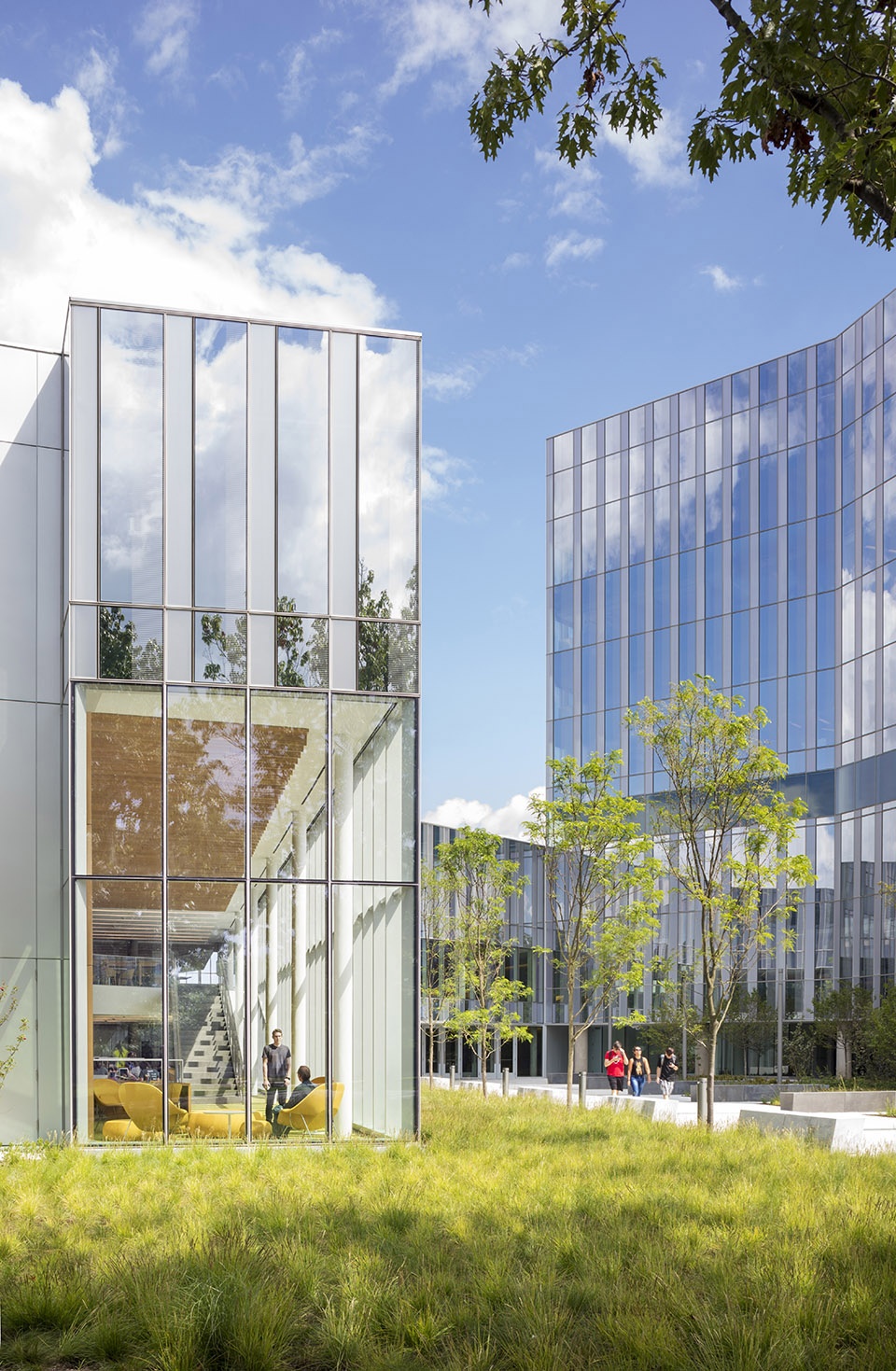 cornell university college of veterinary medicine weiss manfredi