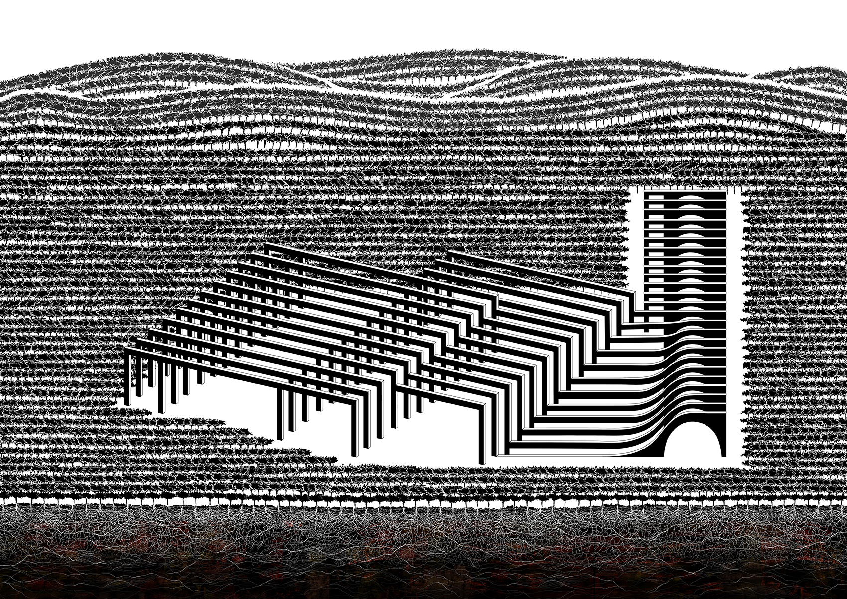 lahofer winery by chybik kristof