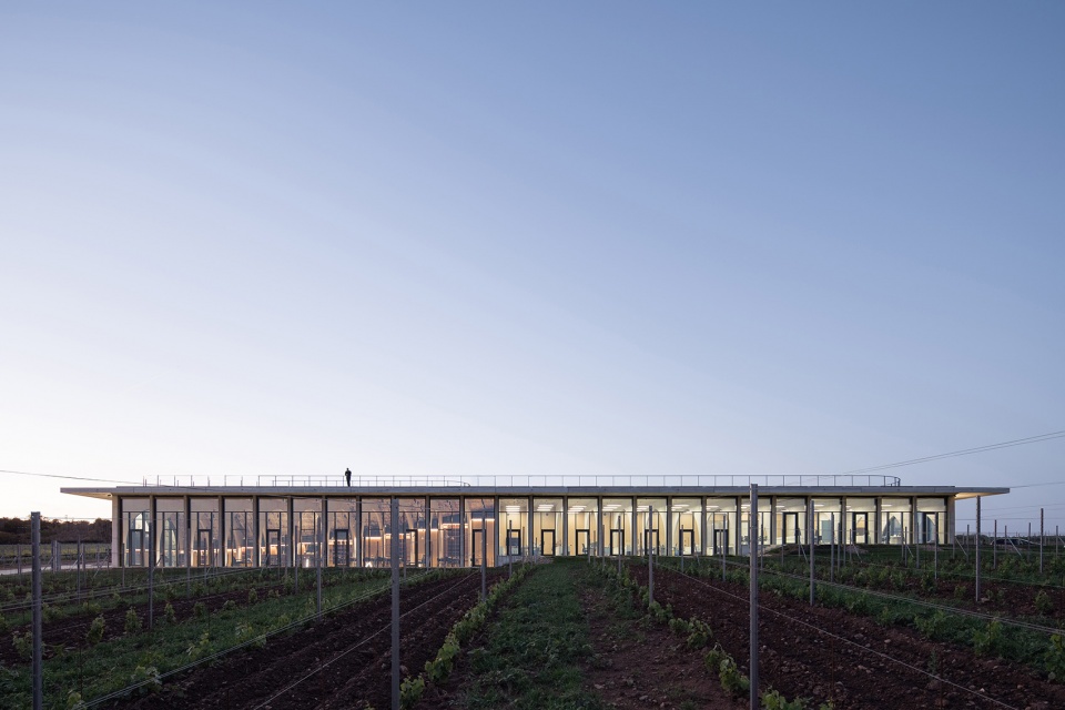 lahofer winery by chybik kristof
