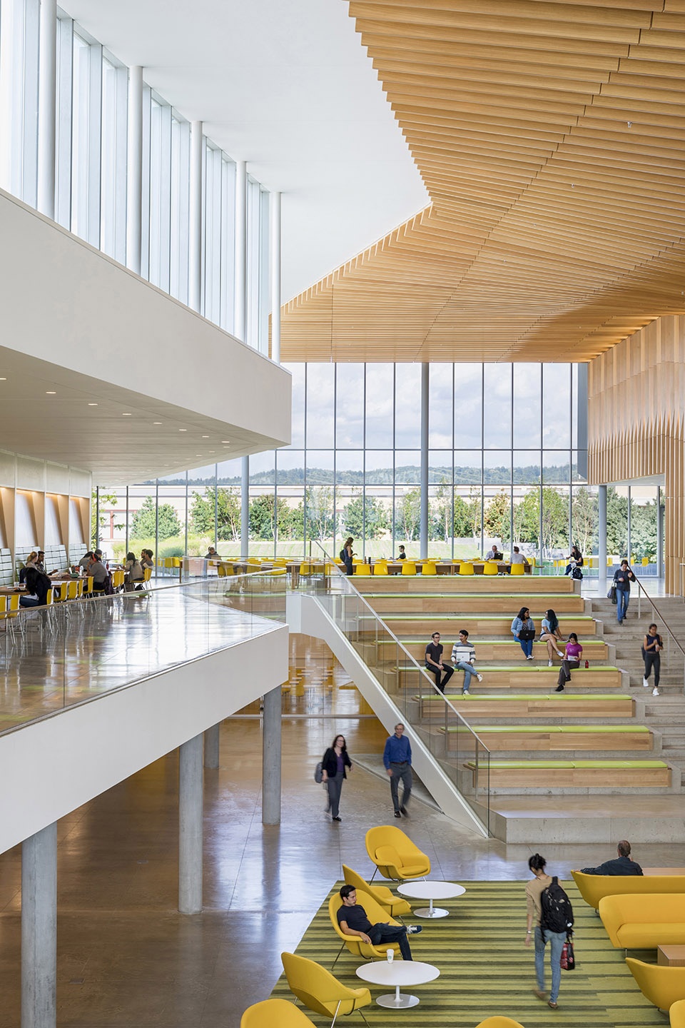 cornell university college of veterinary medicine weiss manfredi