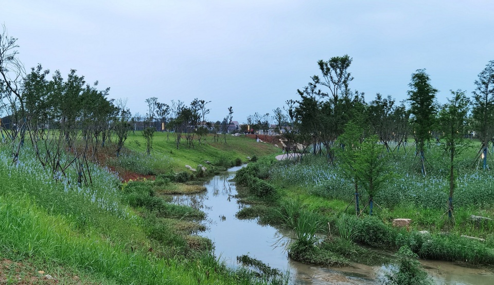 comprehensive treatment engineering of liulin park section linli national wetland park china by palm design