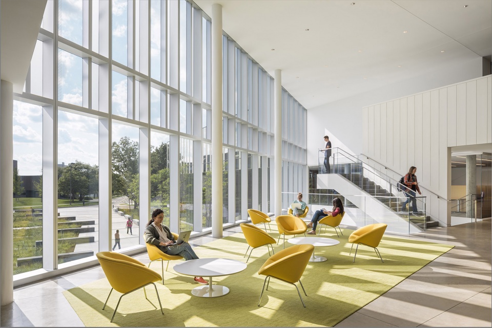 cornell university college of veterinary medicine weiss manfredi