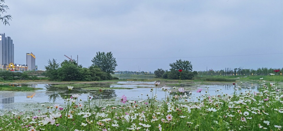 comprehensive treatment engineering of liulin park section linli national wetland park china by palm design
