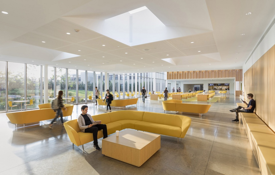 cornell university college of veterinary medicine weiss manfredi