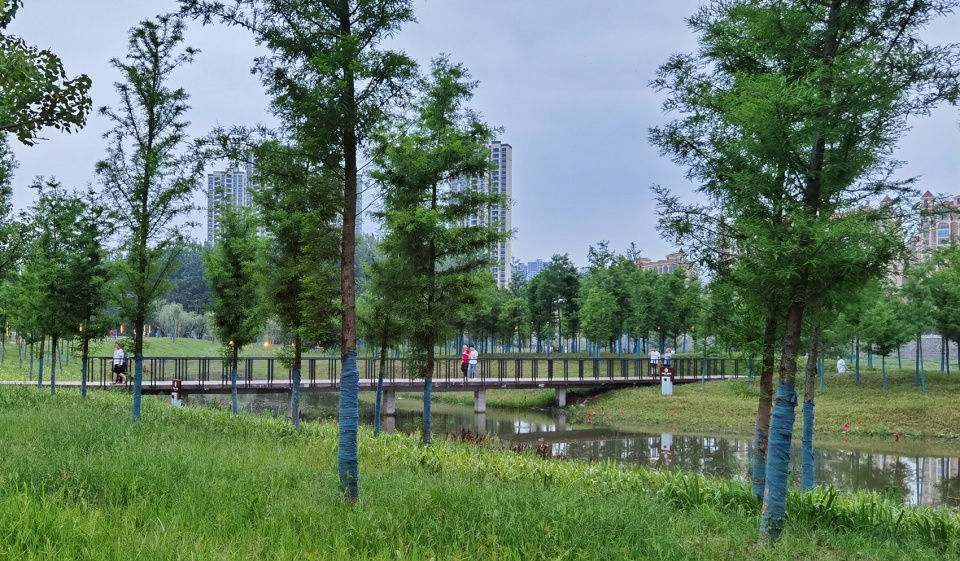 comprehensive treatment engineering of liulin park section linli national wetland park china by palm design