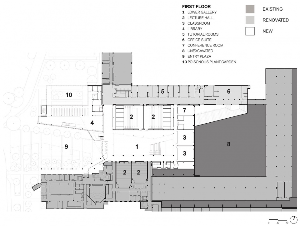 cornell university college of veterinary medicine weiss manfredi