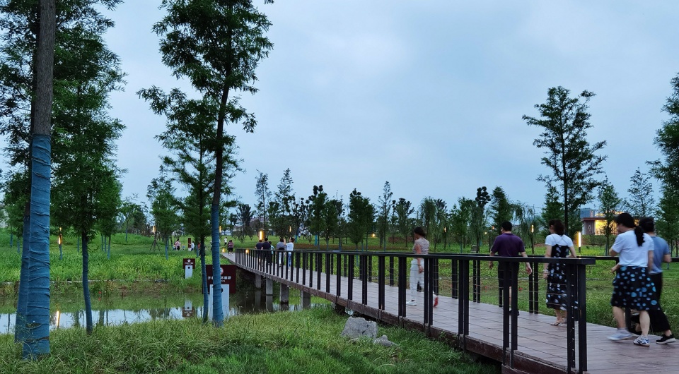 顺应野趣自然的景观基调,平桥设计整体采用钢木结构,以钢索拉扯栗色漆