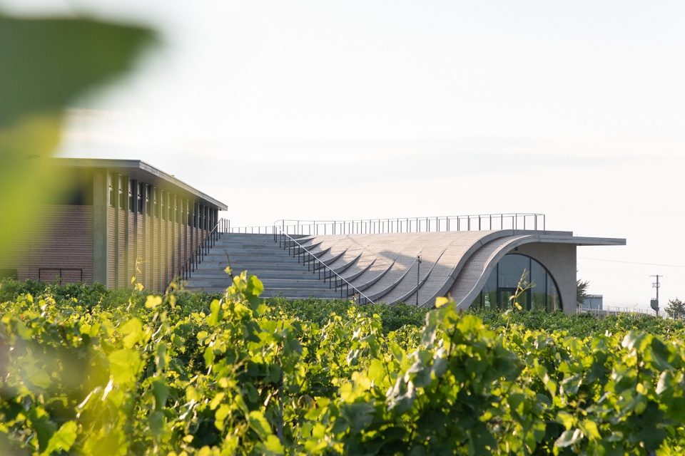 lahofer winery by chybik kristof
