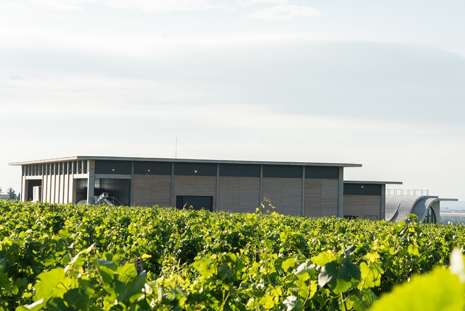 lahofer winery by chybik kristof 1