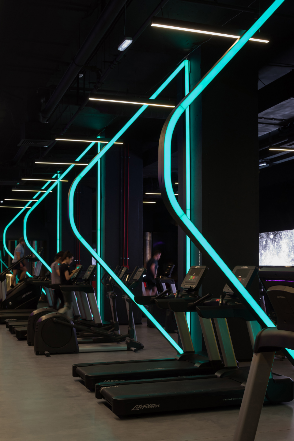 kometa black fitness club by yoyo bureau