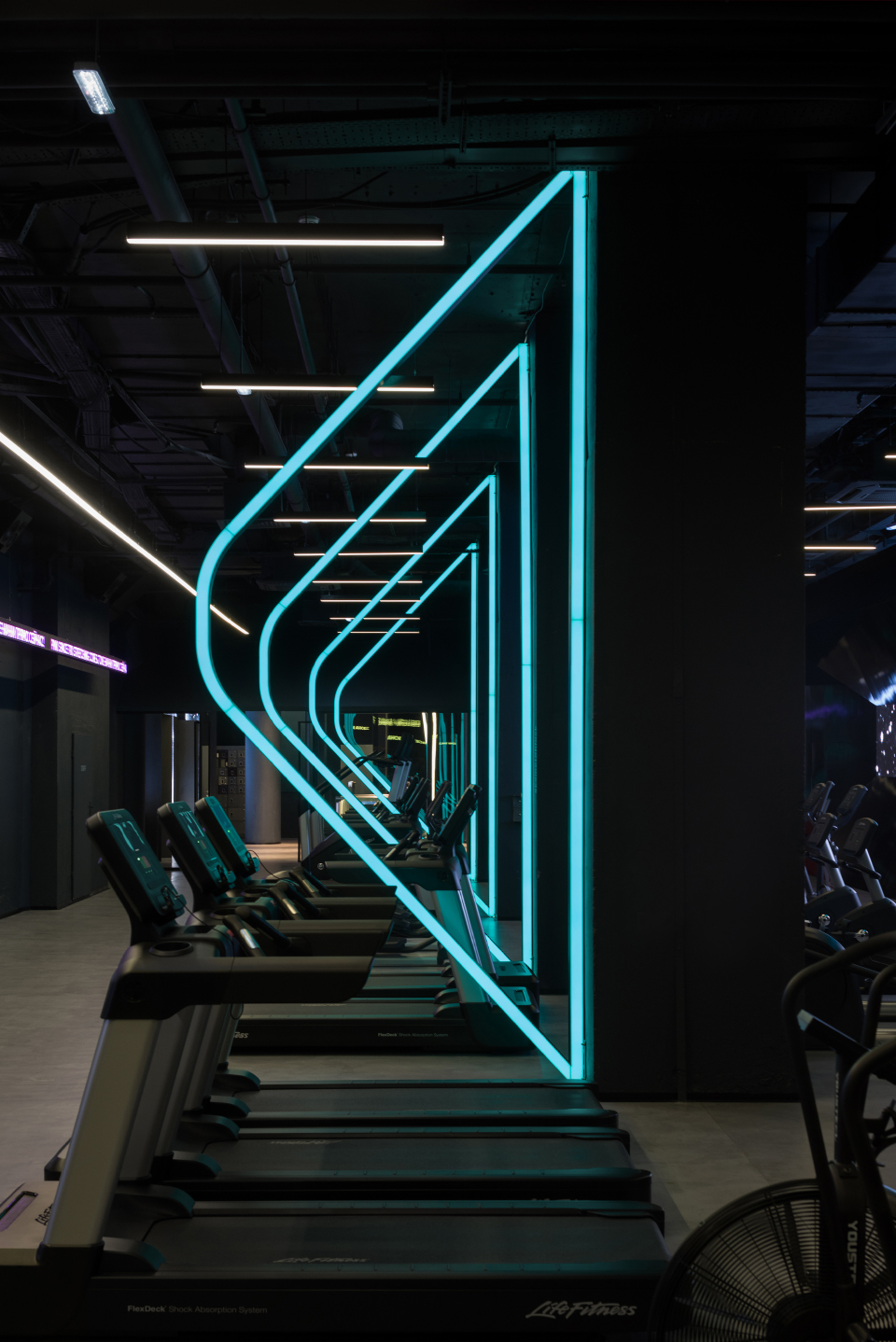 kometa black fitness club by yoyo bureau