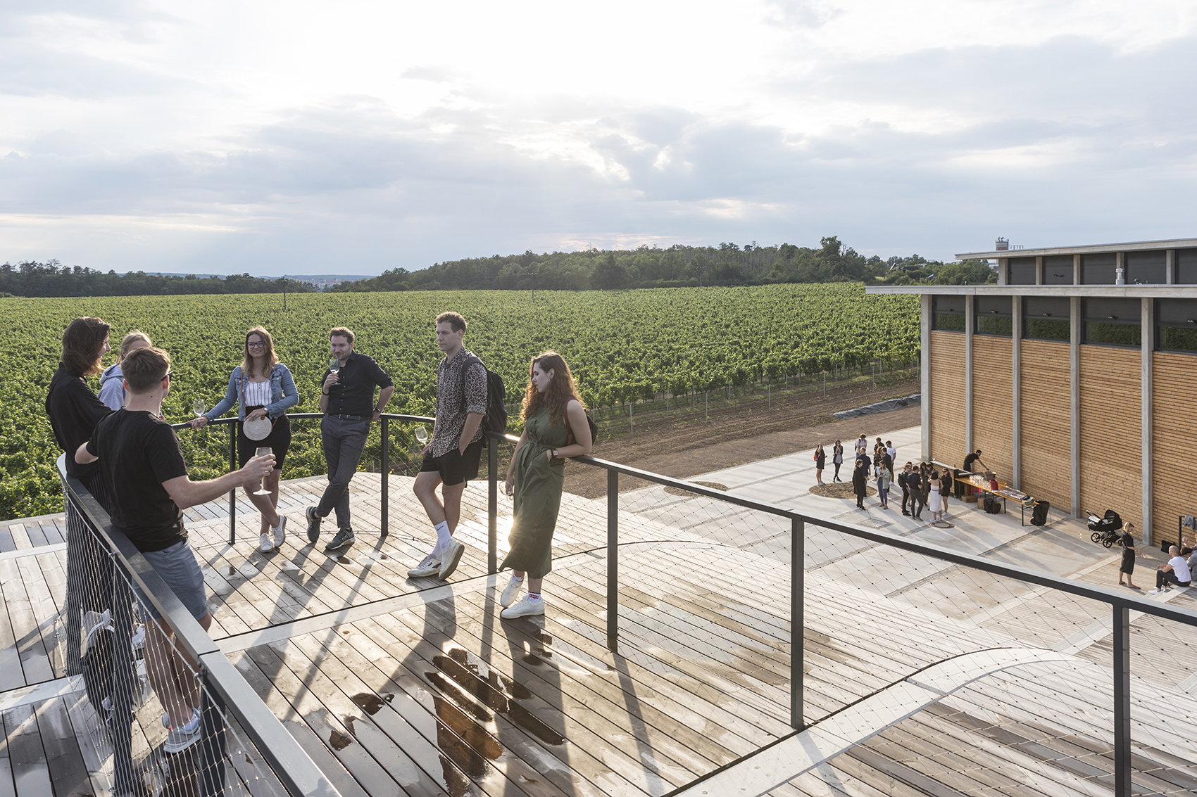 lahofer winery by chybik kristof