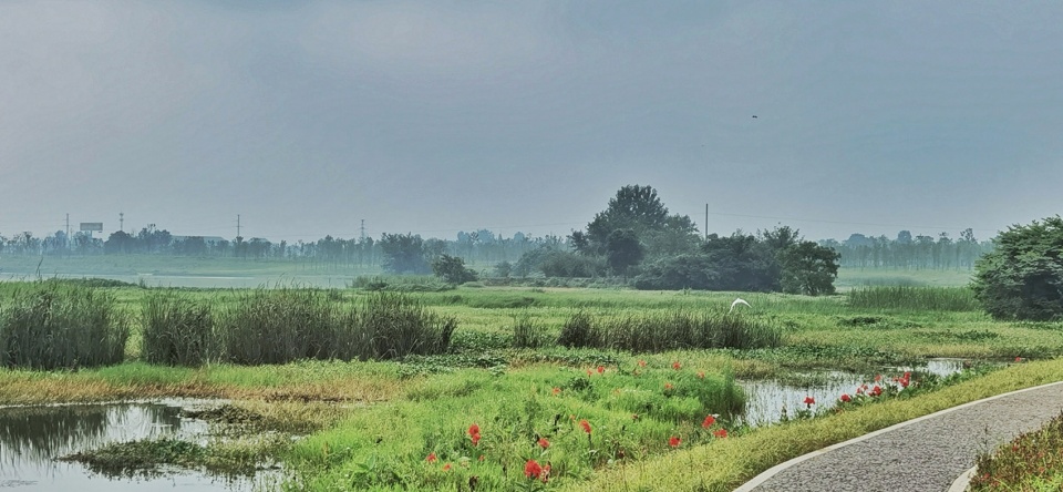 comprehensive treatment engineering of liulin park section linli national wetland park china by palm design