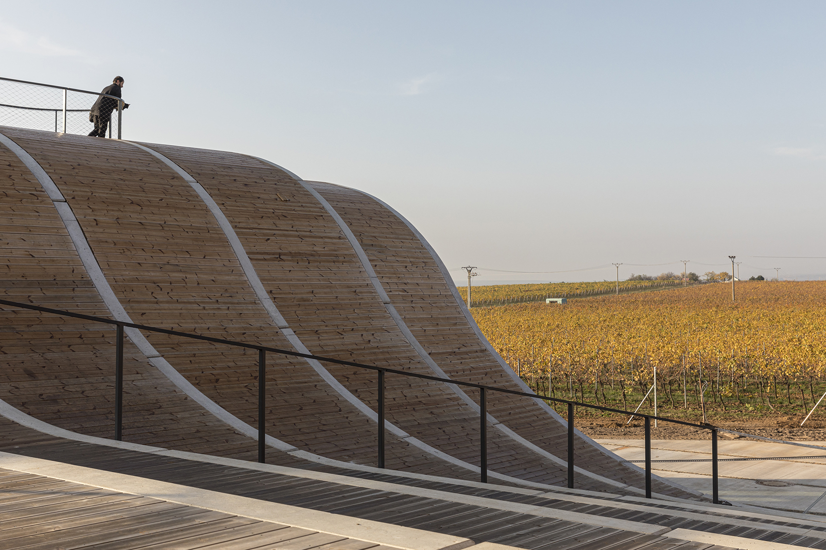lahofer winery by chybik kristof