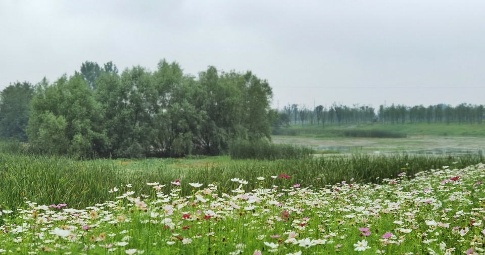 comprehensive treatment engineering of liulin park section linli national wetland park china by palm design