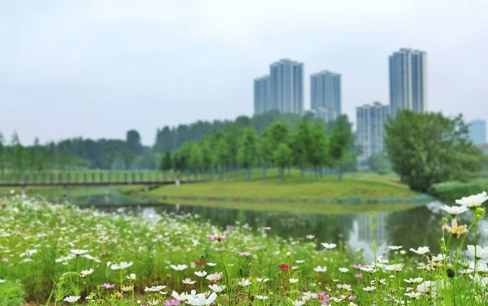 comprehensive treatment engineering of liulin park section linli national wetland park china by palm design
