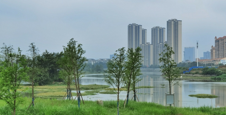 comprehensive treatment engineering of liulin park section linli national wetland park china by palm design