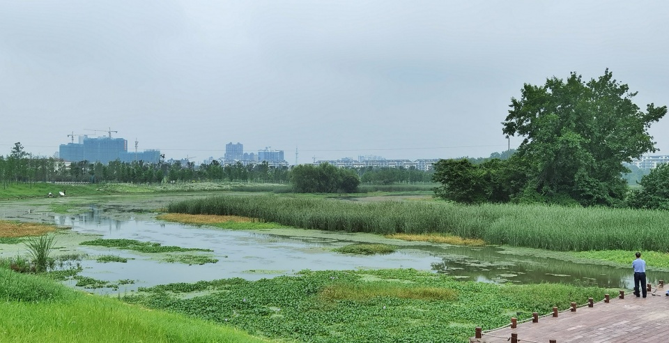 comprehensive treatment engineering of liulin park section linli national wetland park china by palm design
