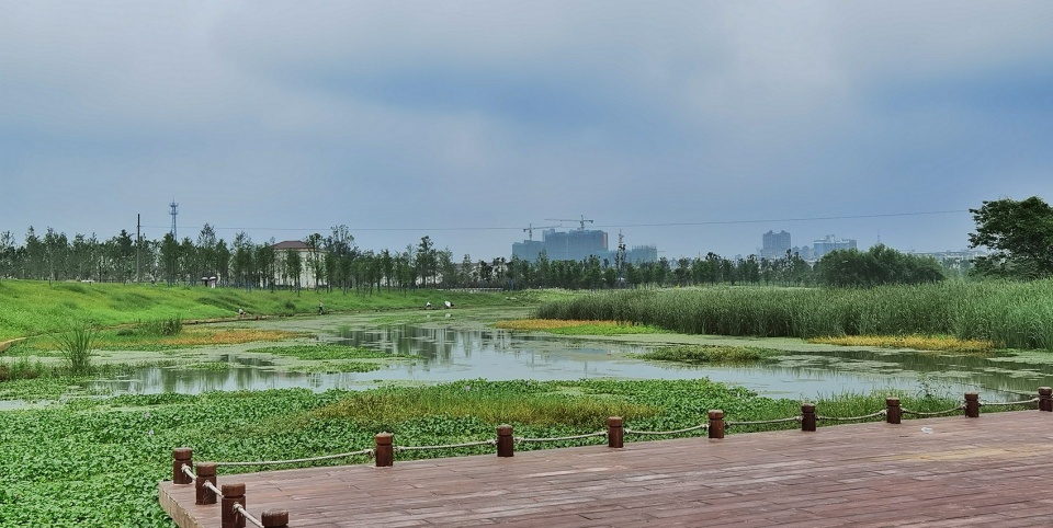comprehensive treatment engineering of liulin park section linli national wetland park china by palm design