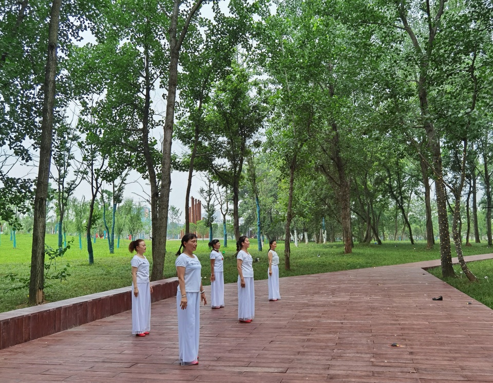 comprehensive treatment engineering of liulin park section linli national wetland park china by palm design
