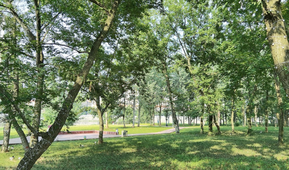 comprehensive treatment engineering of liulin park section linli national wetland park china by palm design