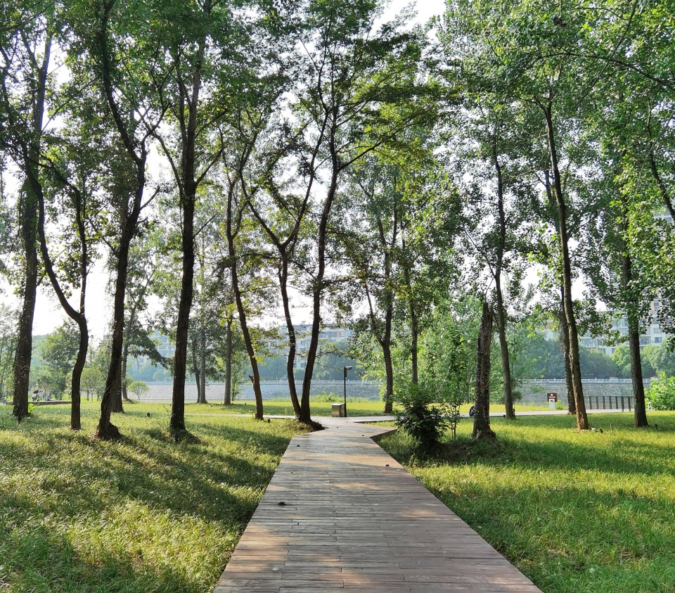 comprehensive treatment engineering of liulin park section linli national wetland park china by palm design
