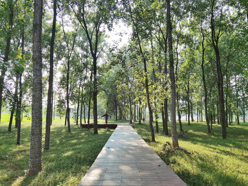 comprehensive treatment engineering of liulin park section linli national wetland park china by palm design