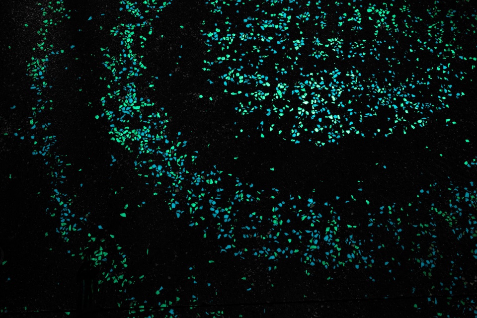 selected works of studio roosegaarde