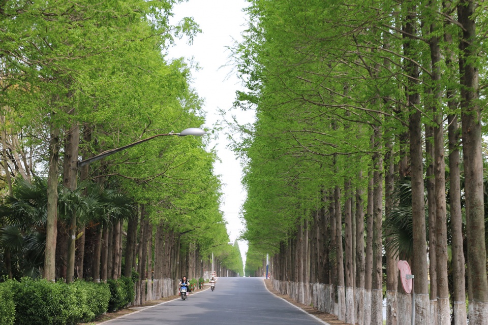 chongming rice culture center phase ii china by ud studio