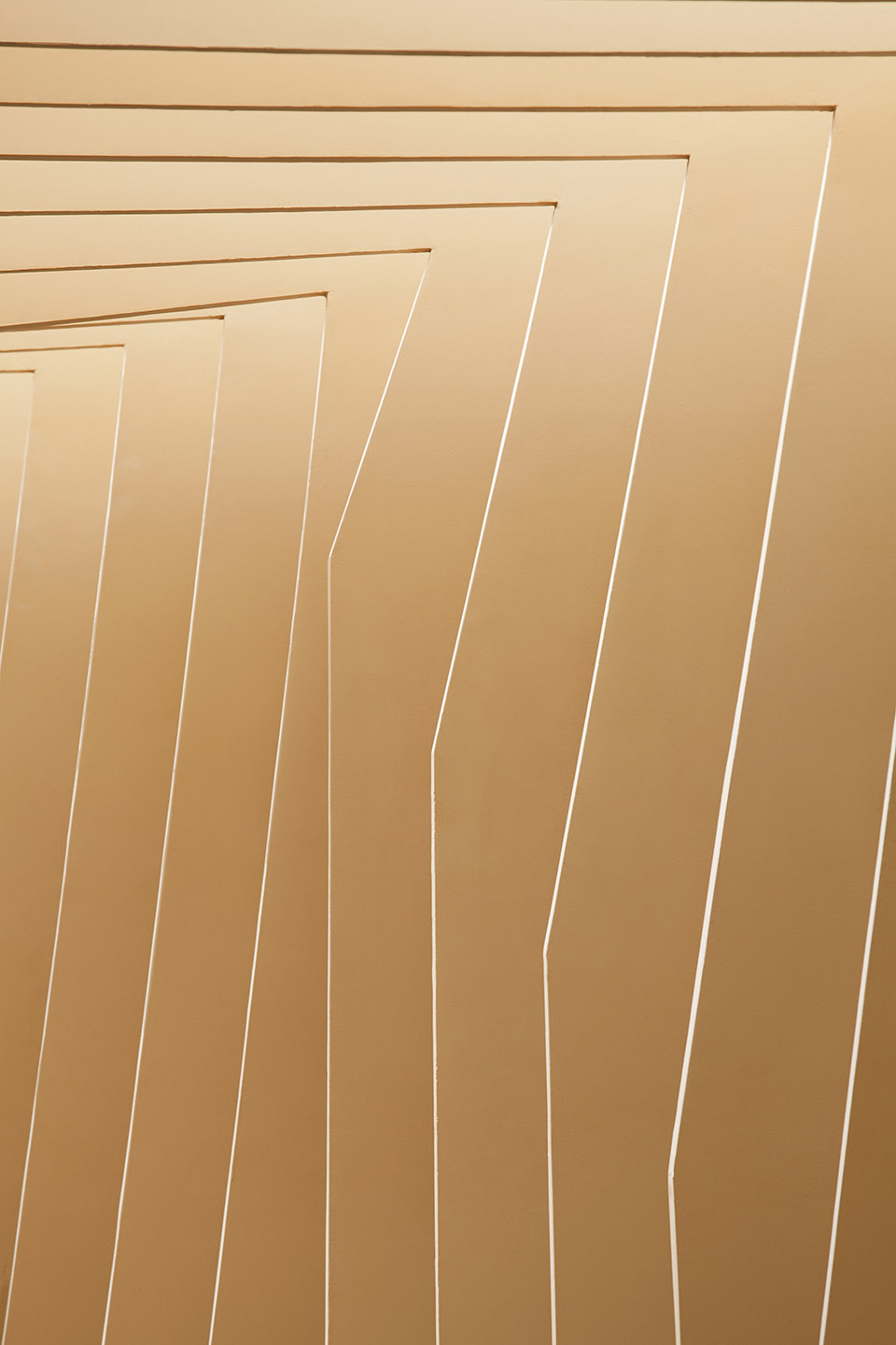 Dingqing County Tibetan Hospital, Tibet Autonomous Region, China by