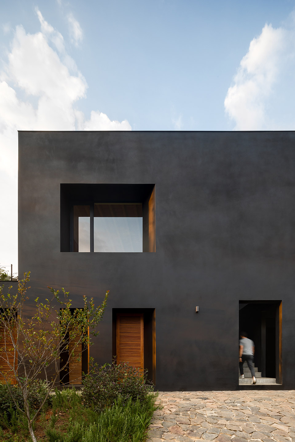 las golondrinas mexico by ppaa