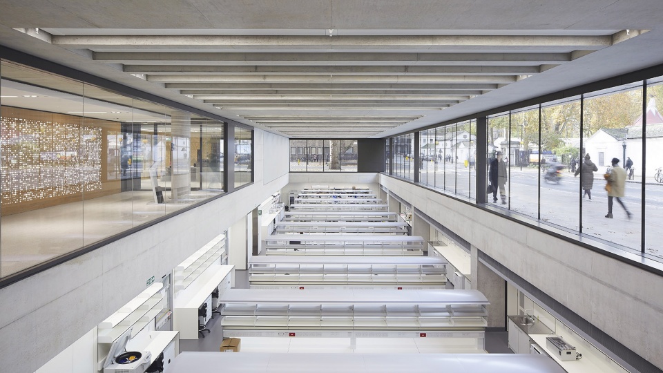 SW Zayed Centre for Research GOSH London HuftonCrow 104