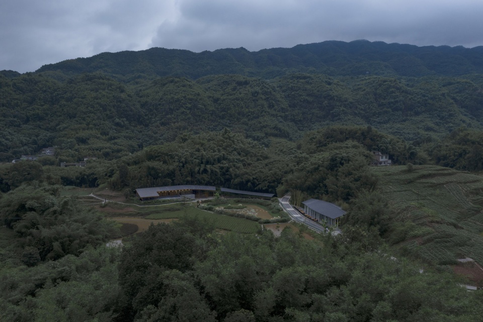 bamboo branch academy china by archermit