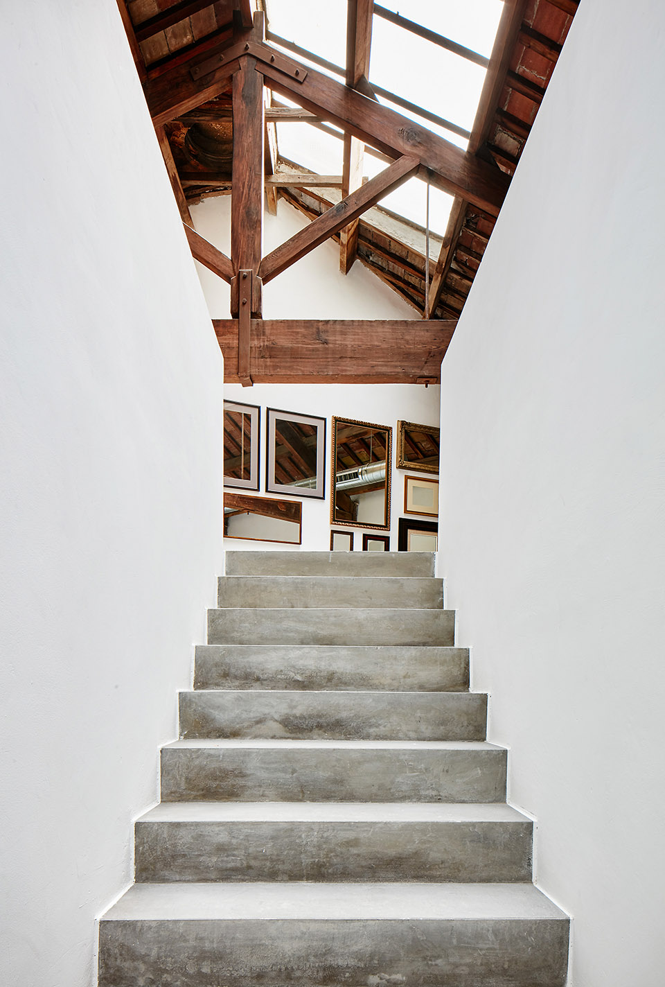 carles taché art gallery vidal tomás arquitectes
