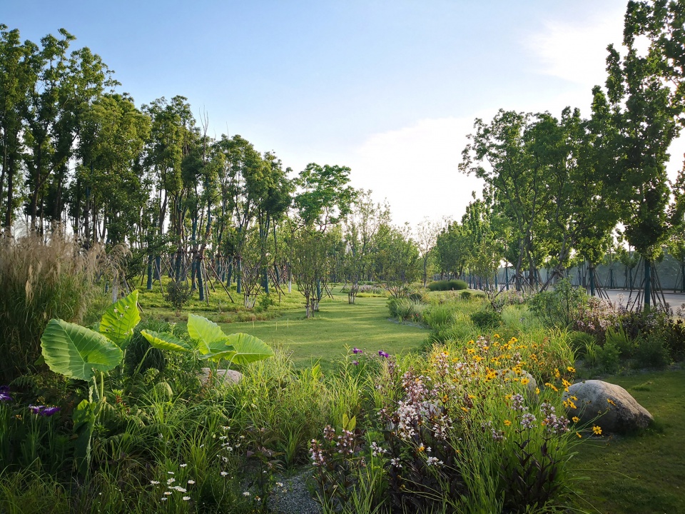 singapore nanjing eco hi tech island waterfront scenic belt china by palm design