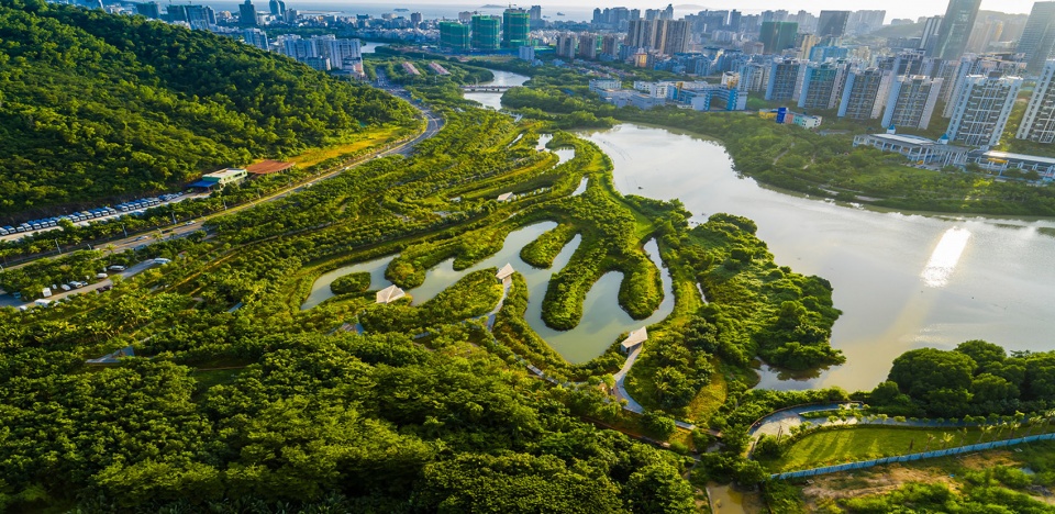 2020 asla general design award of honor sanya mangrove park china by turenscape