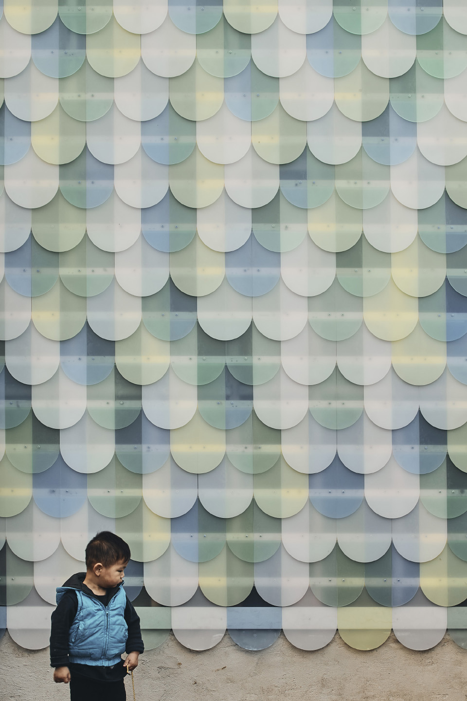 colour shingle by krisna cheung architects