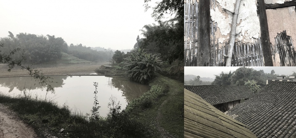 bamboo branch academy china by archermit
