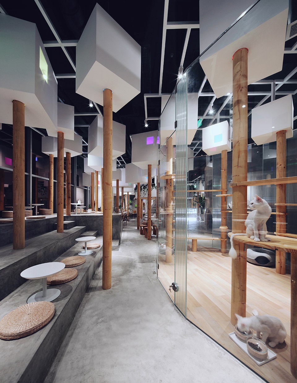 tfb fantastic beasts china by robot3 studio