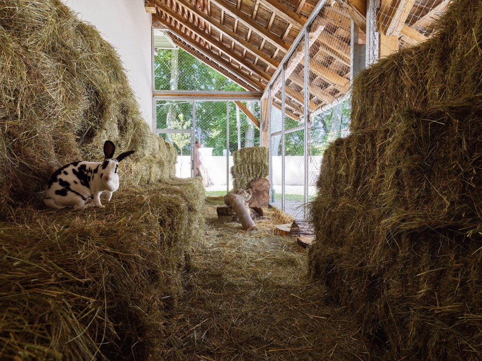 Strasbourg zoo pedagogical farm new visitor center FREAKS