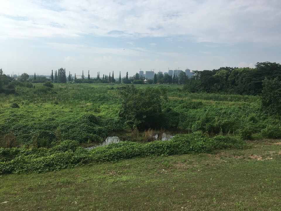 singapore nanjing eco hi tech island waterfront scenic belt china by palm design