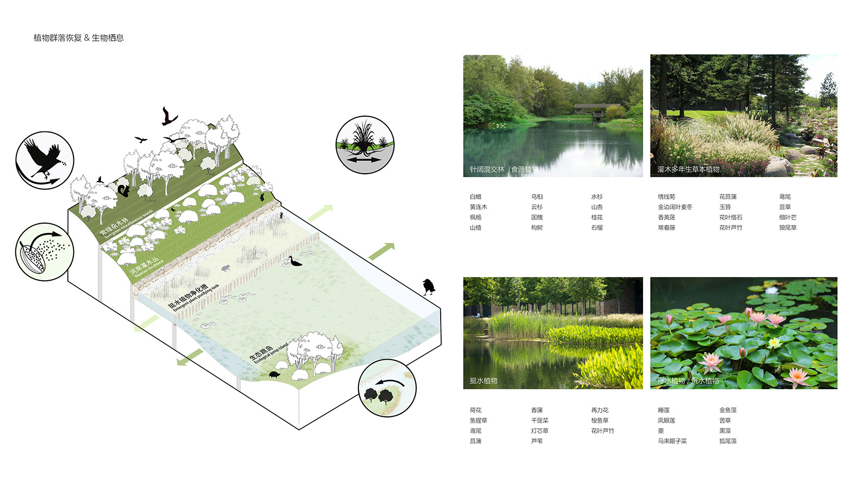 Ecological restoration landscape design of Xichuan, China by Horizon ...