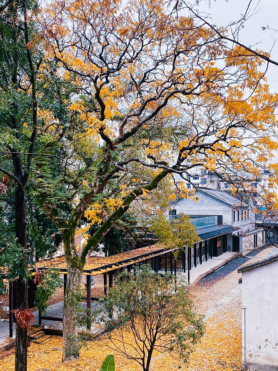 culture neighborhood·songyang three temple cultural communication center china by jiakun architects