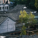 文里·松阳三庙文化交流中心，浙江 / 家琨建筑设计事务所