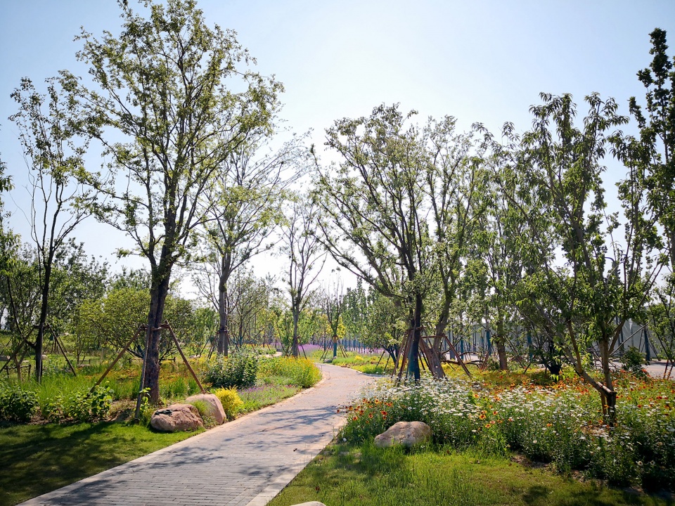 singapore nanjing eco hi tech island waterfront scenic belt china by palm design