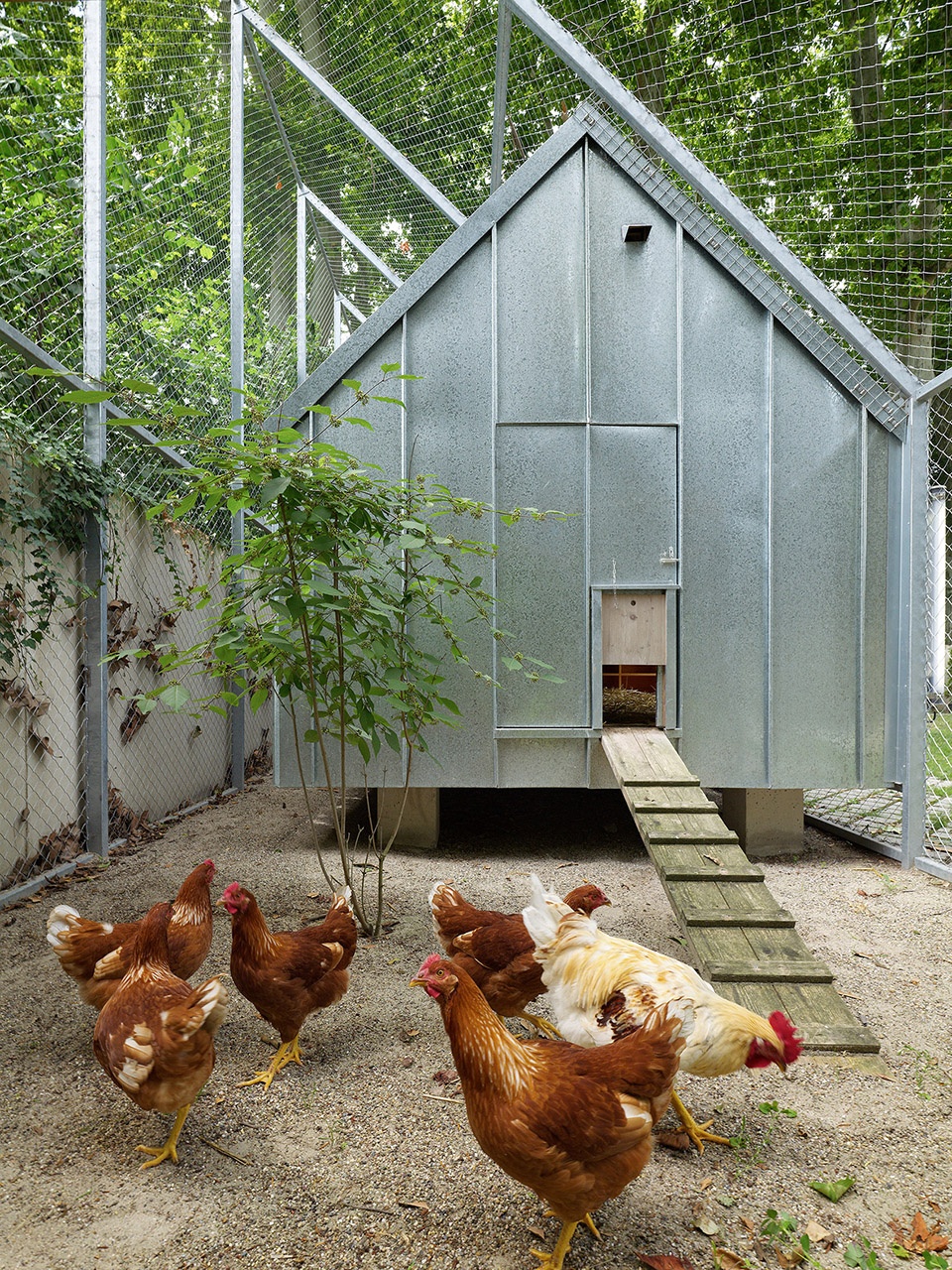 Strasbourg zoo pedagogical farm new visitor center FREAKS