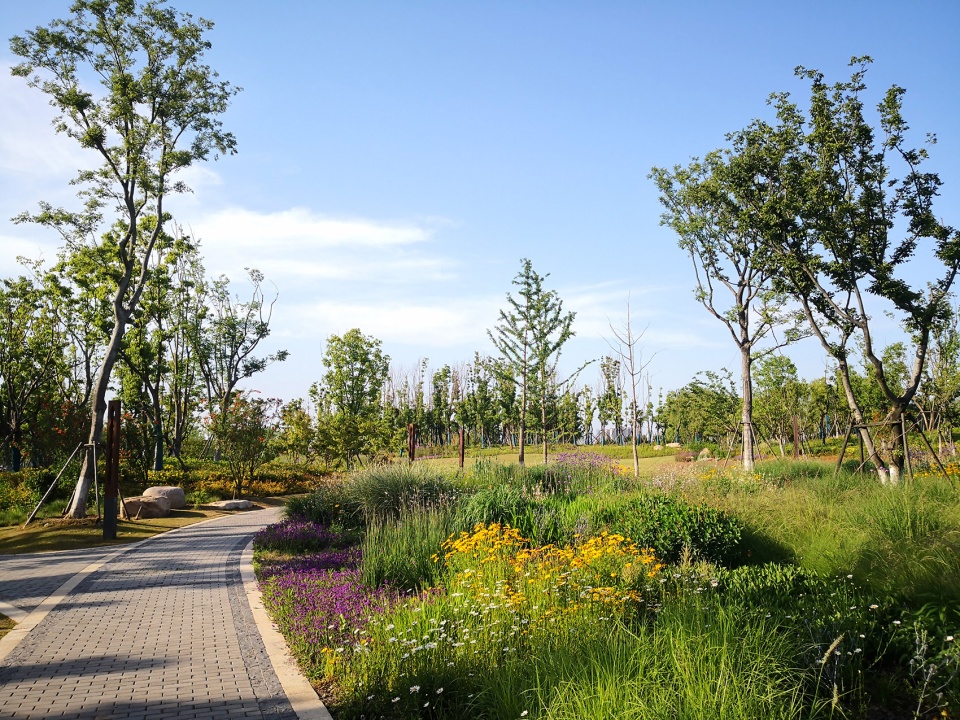 singapore nanjing eco hi tech island waterfront scenic belt china by palm design